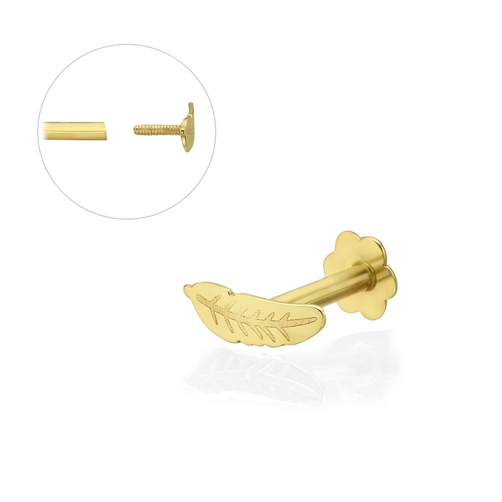 Piercing | 14K Yellow Gold Tragus Labret Piercing - Feather