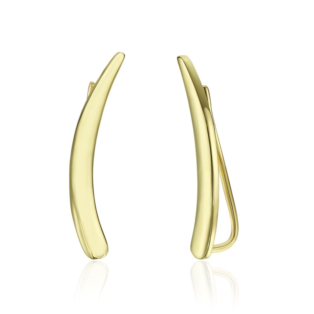 Gold Earrings | 14K Yellow Gold Climbing Earrings- - Lili