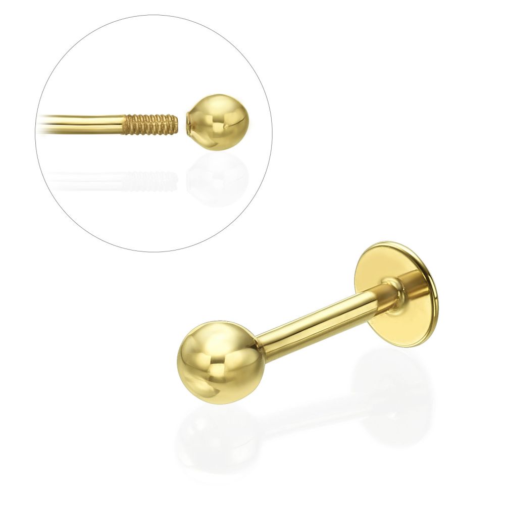 Piercing | Tragus / Labret Piercing in 14K Yellow Gold with Gold Ball
