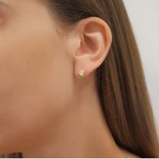 14K Yellow Gold Women's Earrings - Paris