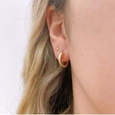 14K Yellow Gold Women's Earrings - Phoebe hoop