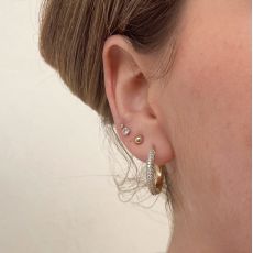 14K Yellow Gold Women's Earrings - Shiny Hoop - M
