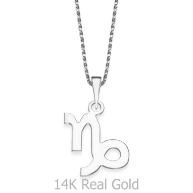 Pendant and Necklace in 14K White Gold - Capricorn