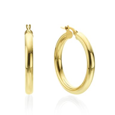14K Yellow Gold Women's Earrings - L