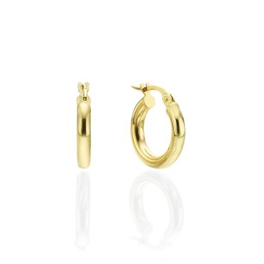 14K Yellow Gold Women's Earrings - S