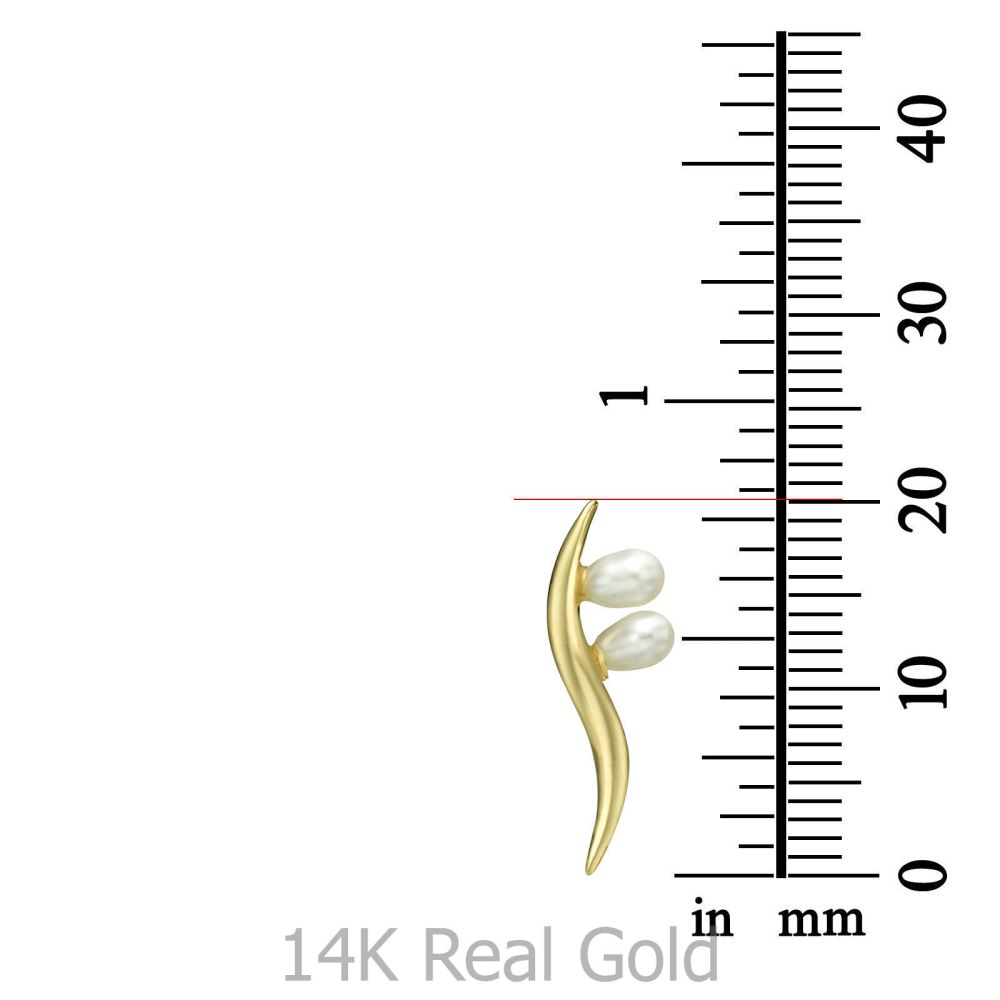 Women’s Gold Jewelry | 14K White Gold Women's Earrings - Northern Star