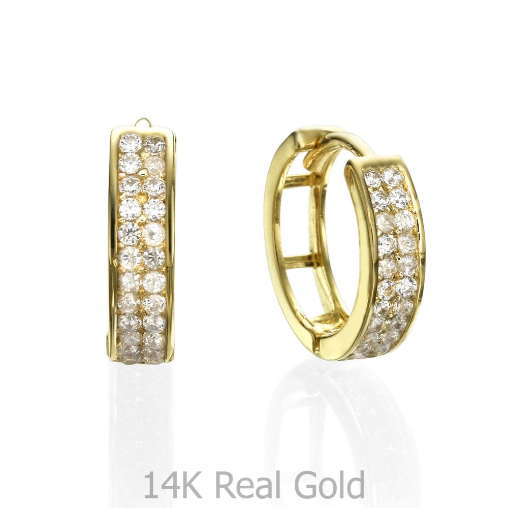 Sale | Huggie Gold Earrings - North Star