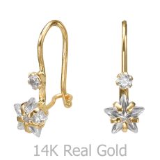 Dangle Earrings in14K Yellow Gold - Northern Star