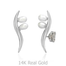 14K White Gold Women's Earrings - Northern Star