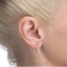 Dangle Earrings in14K Yellow Gold - Northern Star