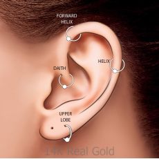 Helix / Tragus Piercing in 14K Yellow Gold - Large
