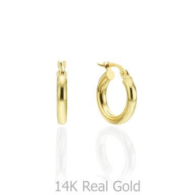 14K Yellow Gold Women's Earrings - S