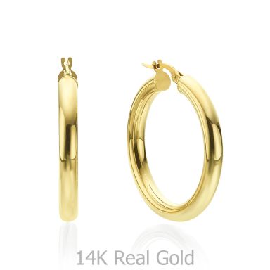 14K Yellow Gold Women's Earrings - L